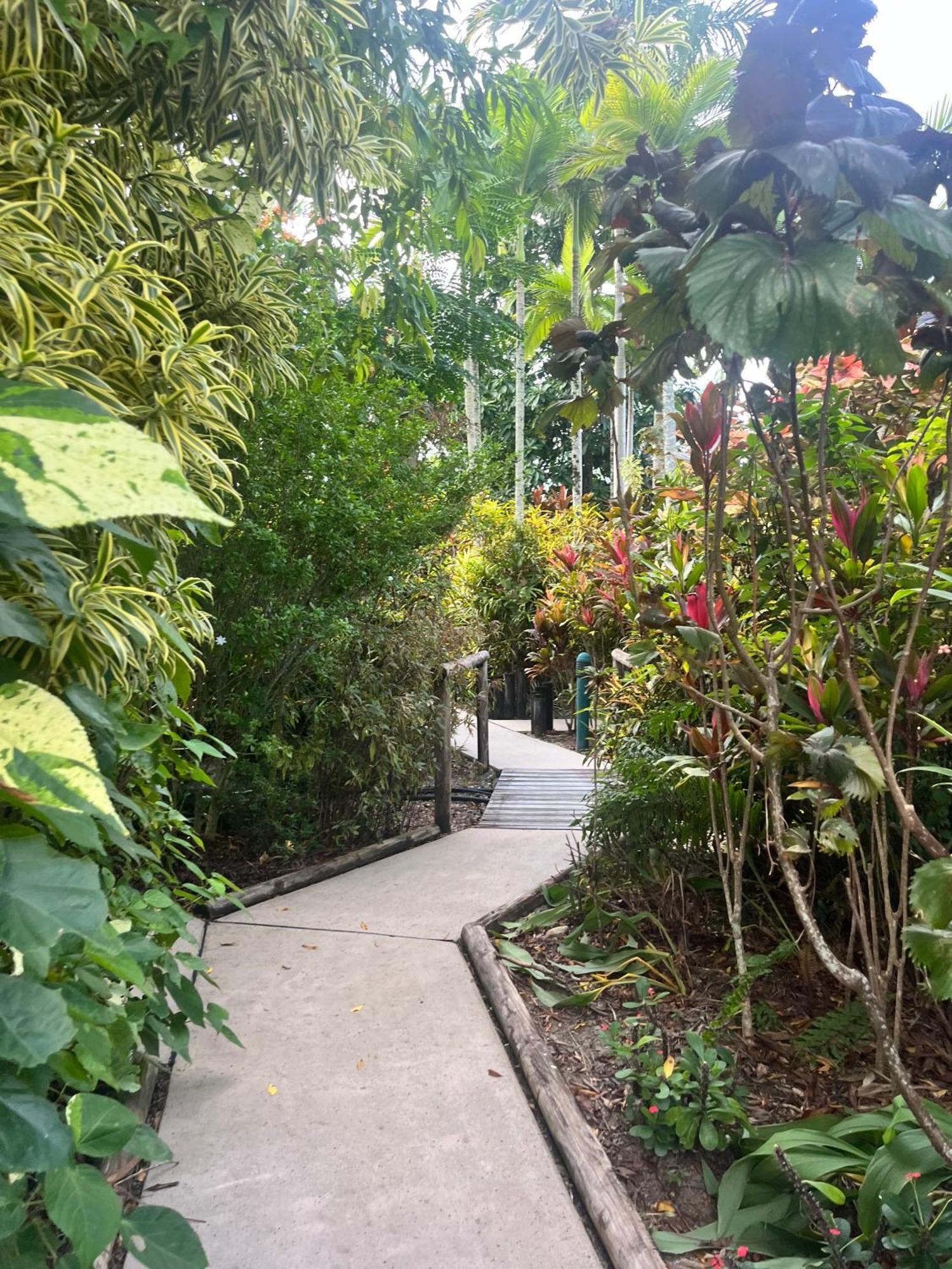 The Villas Palm Cove Esterno foto